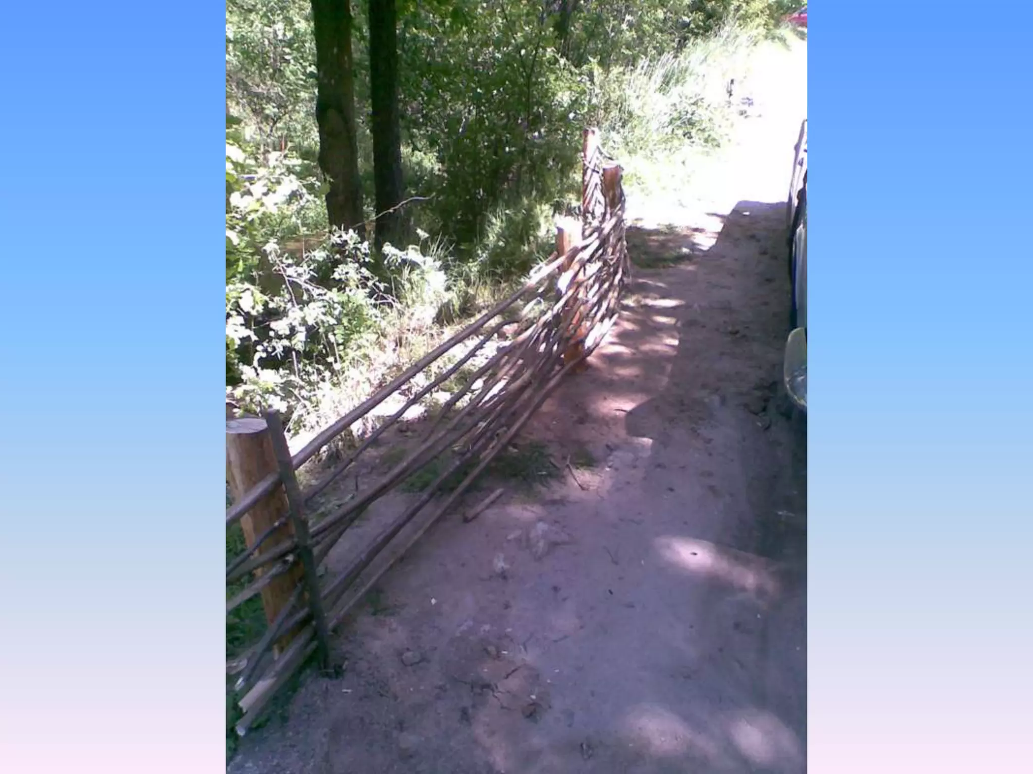 Екологічний проект "Джерело"