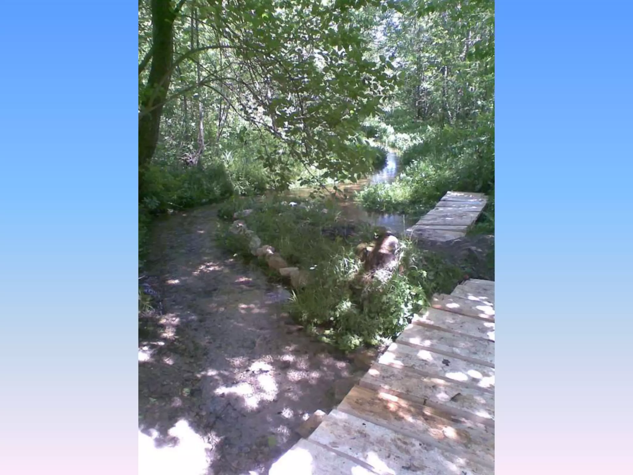 Екологічний проект "Джерело"