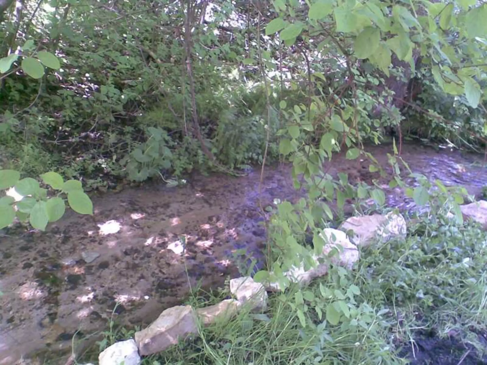 Екологічний проект "Джерело"