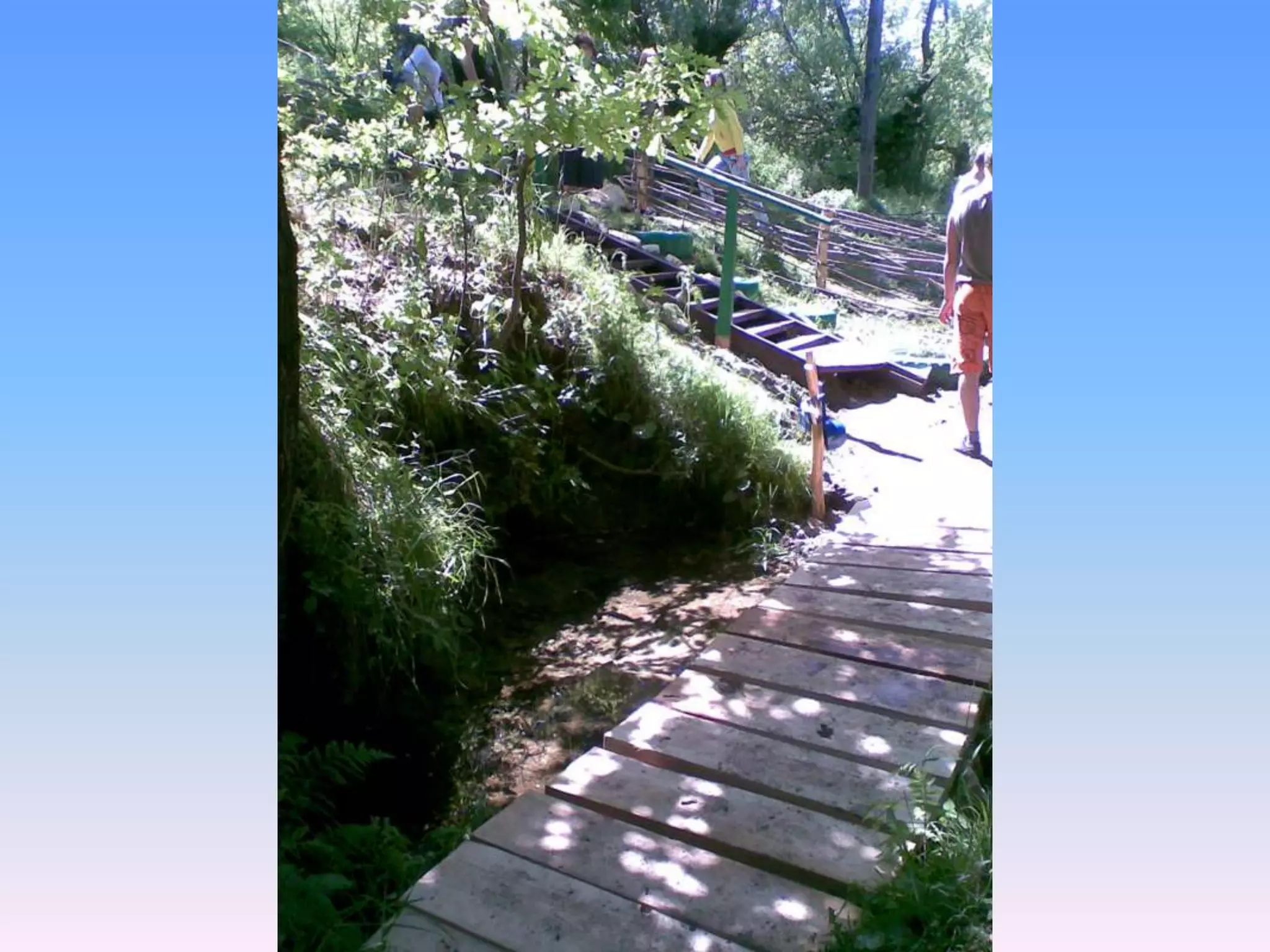 Екологічний проект "Джерело"