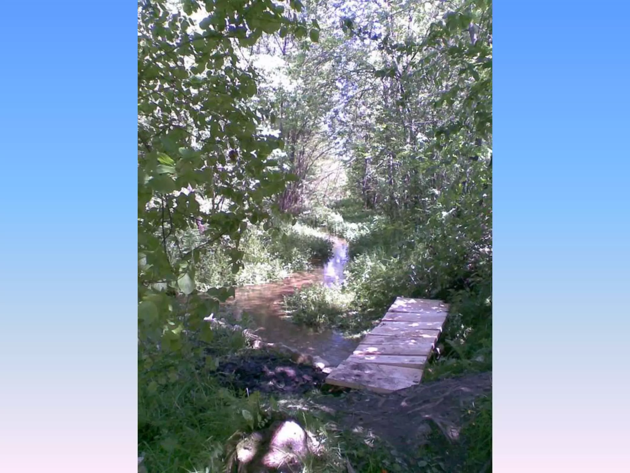 Екологічний проект "Джерело"