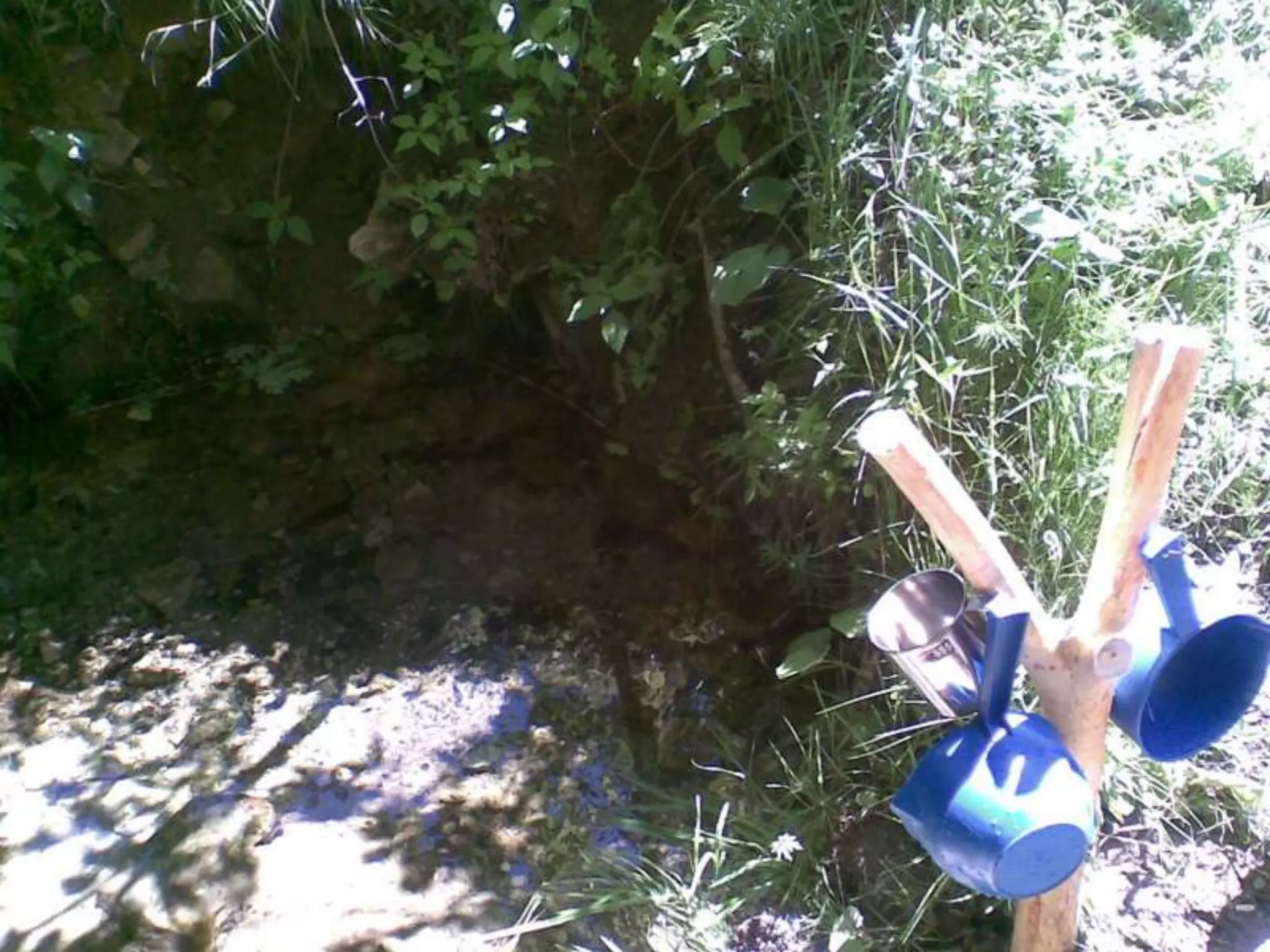 Екологічний проект "Джерело"