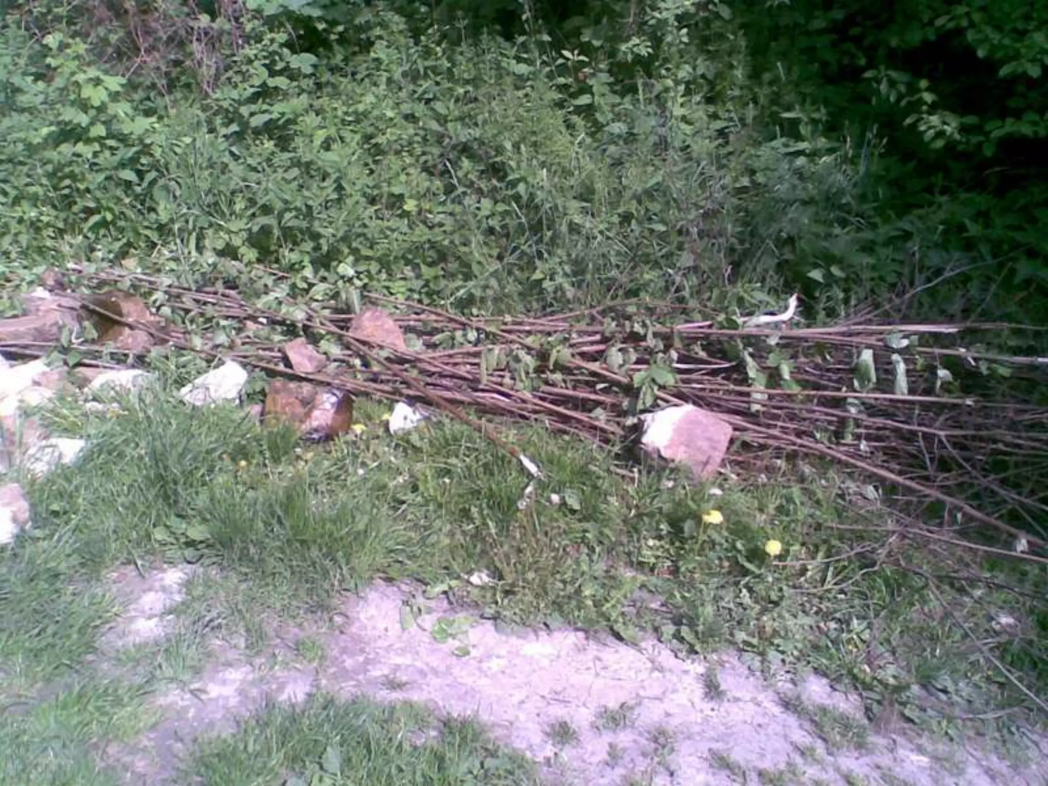 Екологічний проект "Джерело"