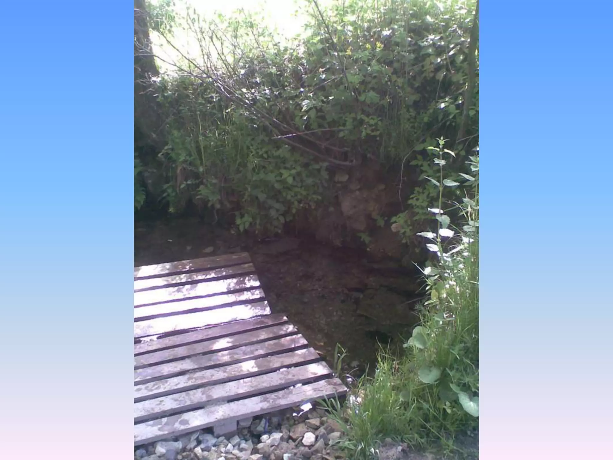 Екологічний проект "Джерело"