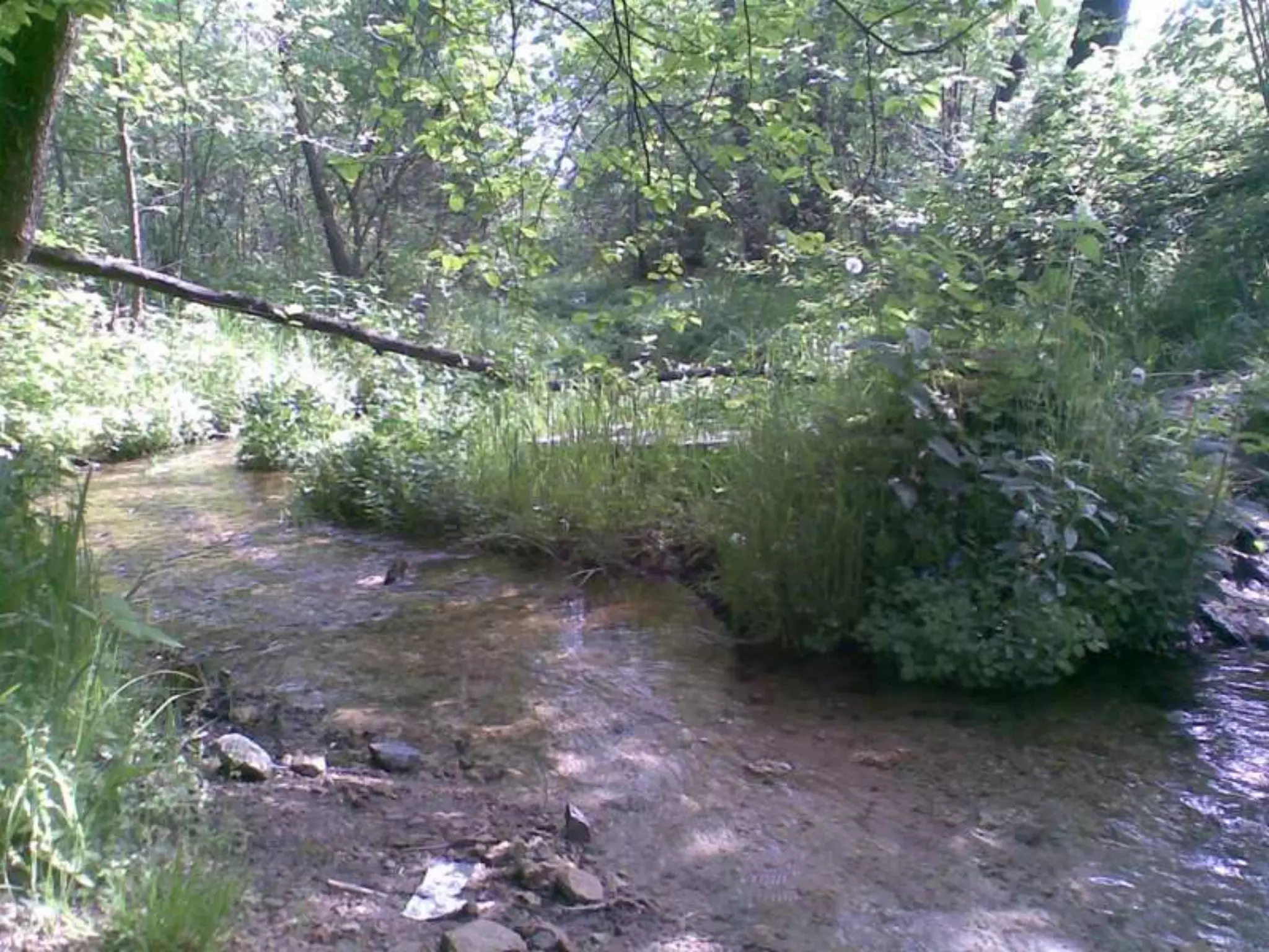 Екологічний проект "Джерело"