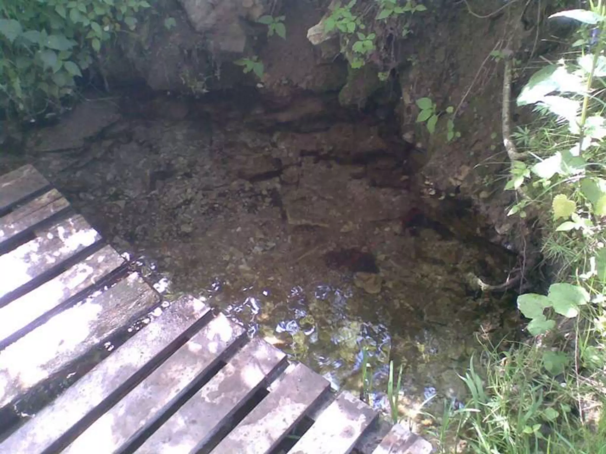 Екологічний проект "Джерело"