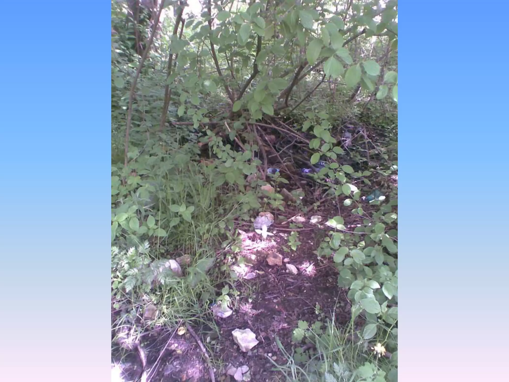 Екологічний проект "Джерело"