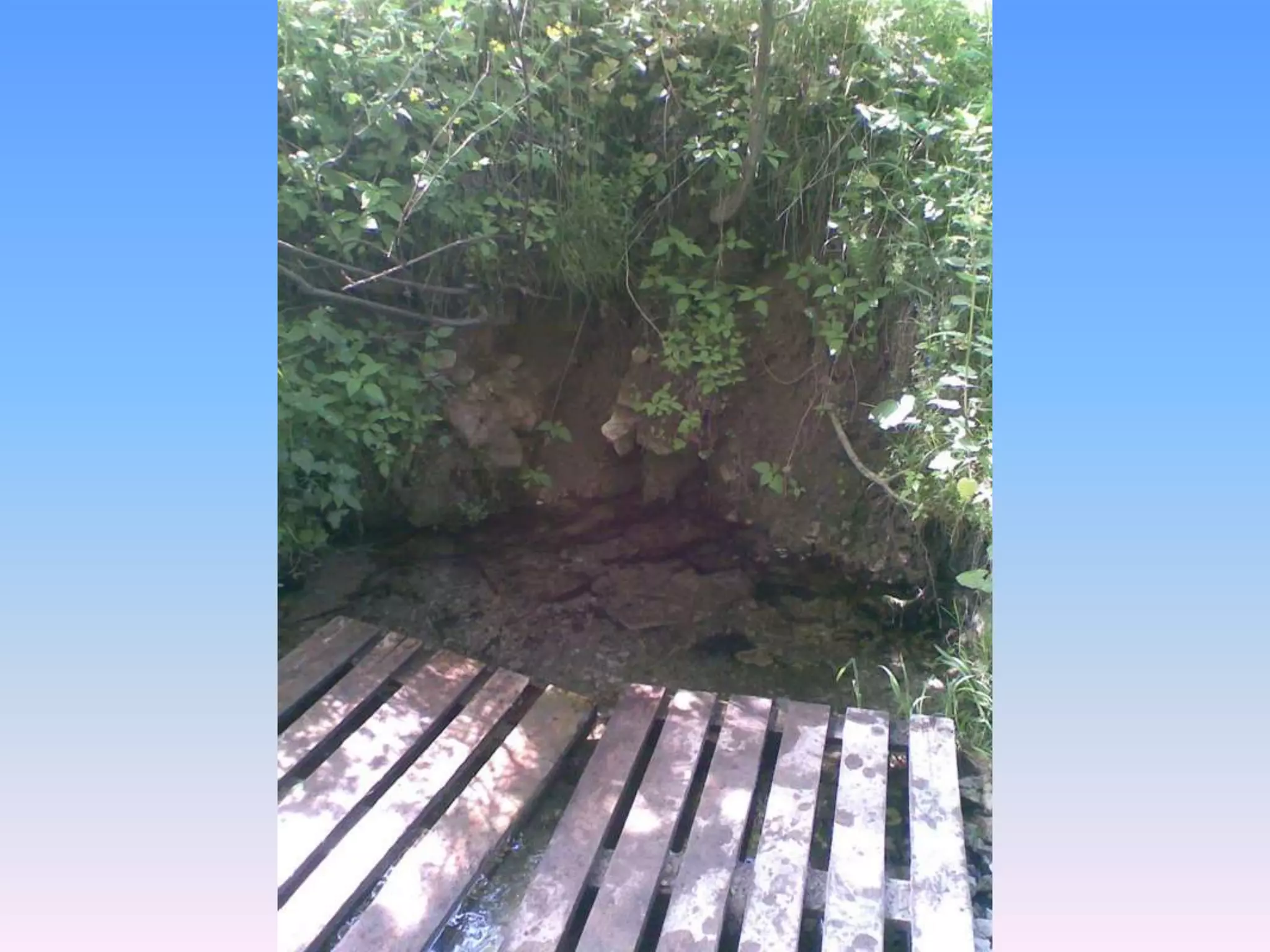 Екологічний проект "Джерело"