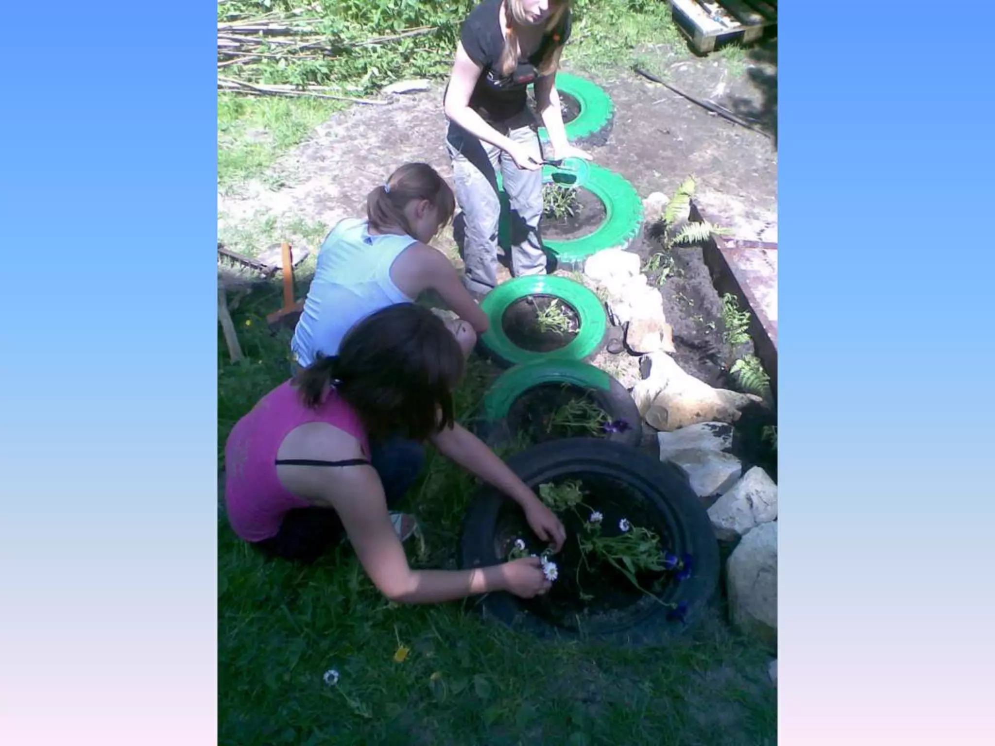 Екологічний проект "Джерело"