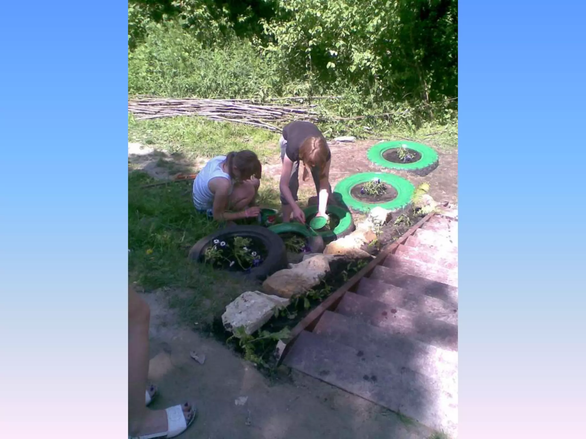 Екологічний проект "Джерело"