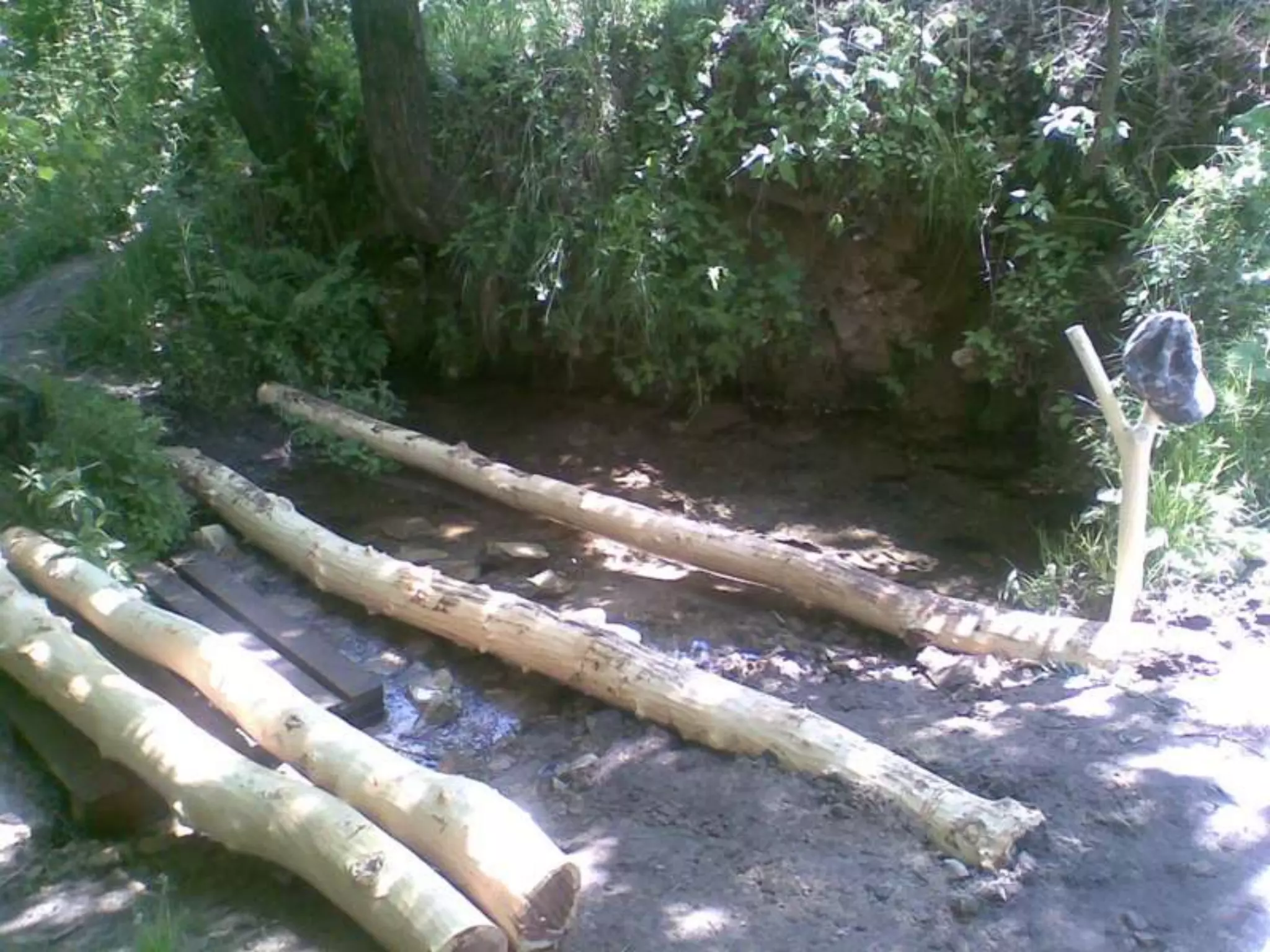 Екологічний проект "Джерело"