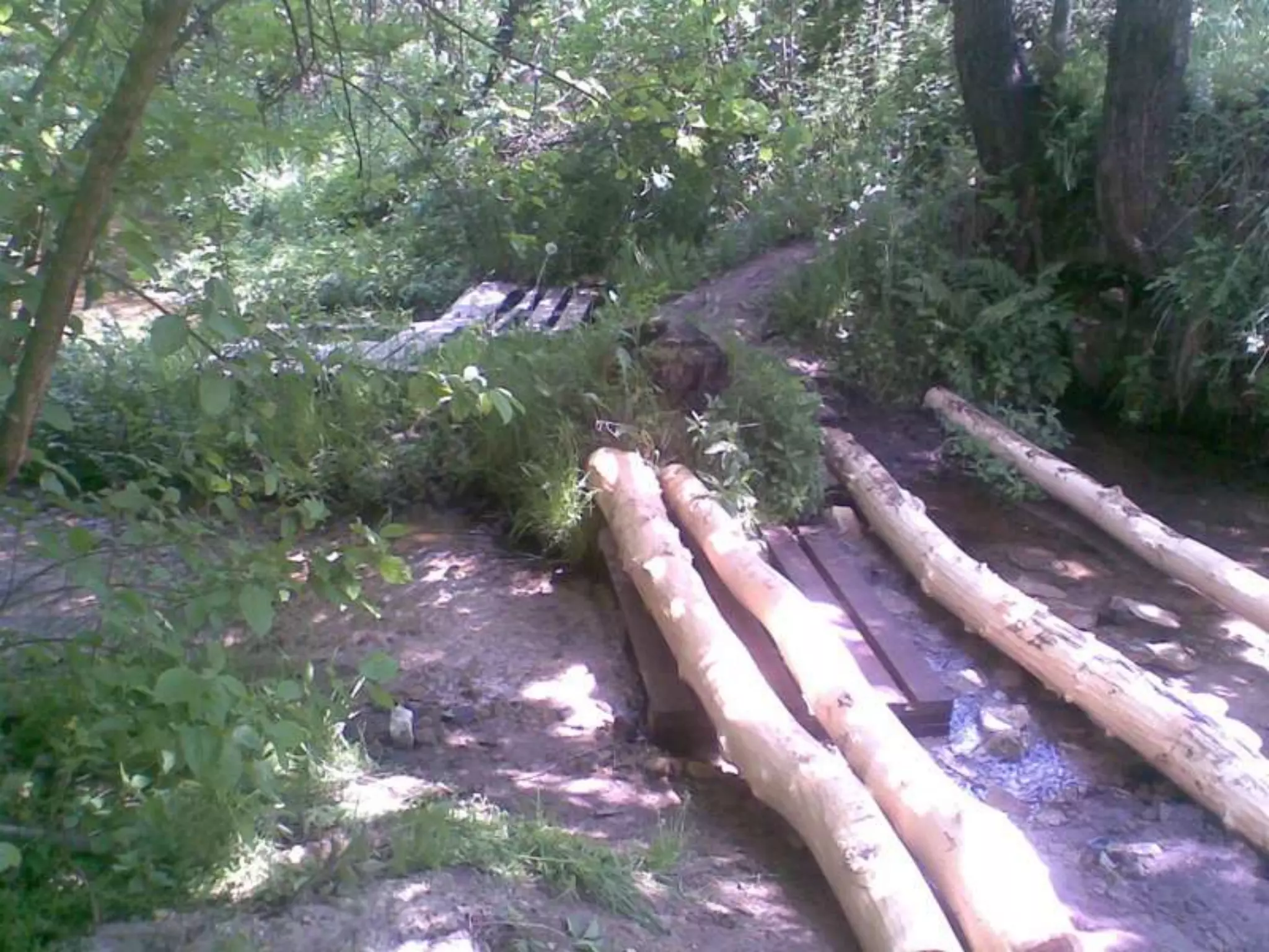 Екологічний проект "Джерело"