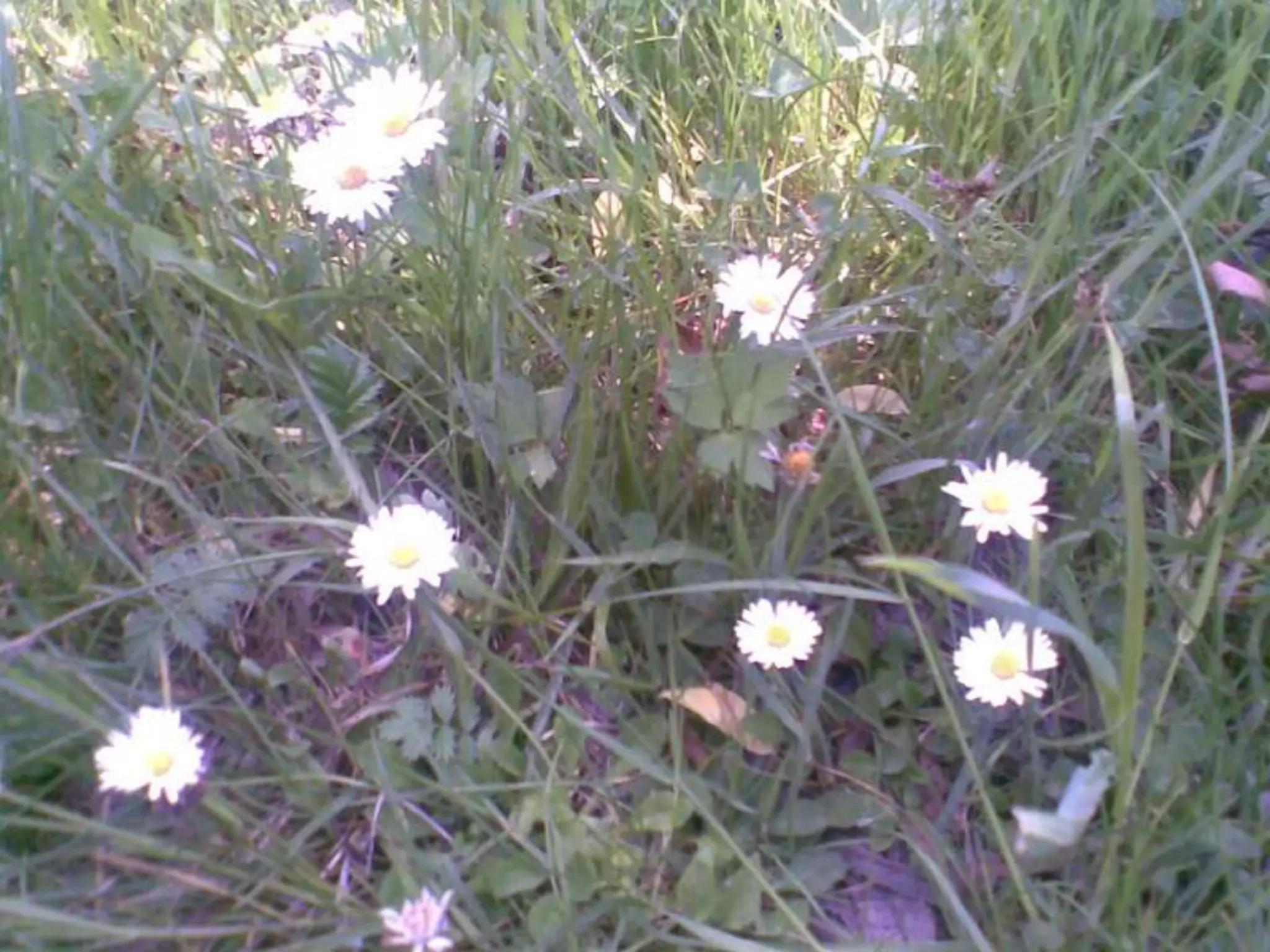 Екологічний проект "Джерело"