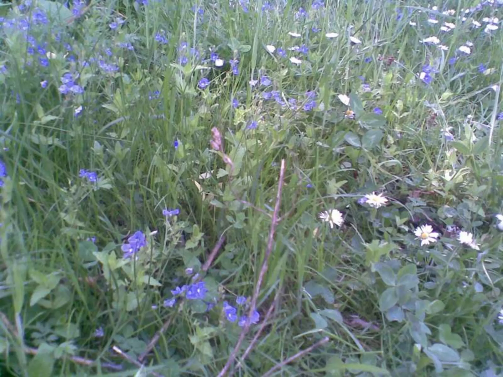 Екологічний проект "Джерело"