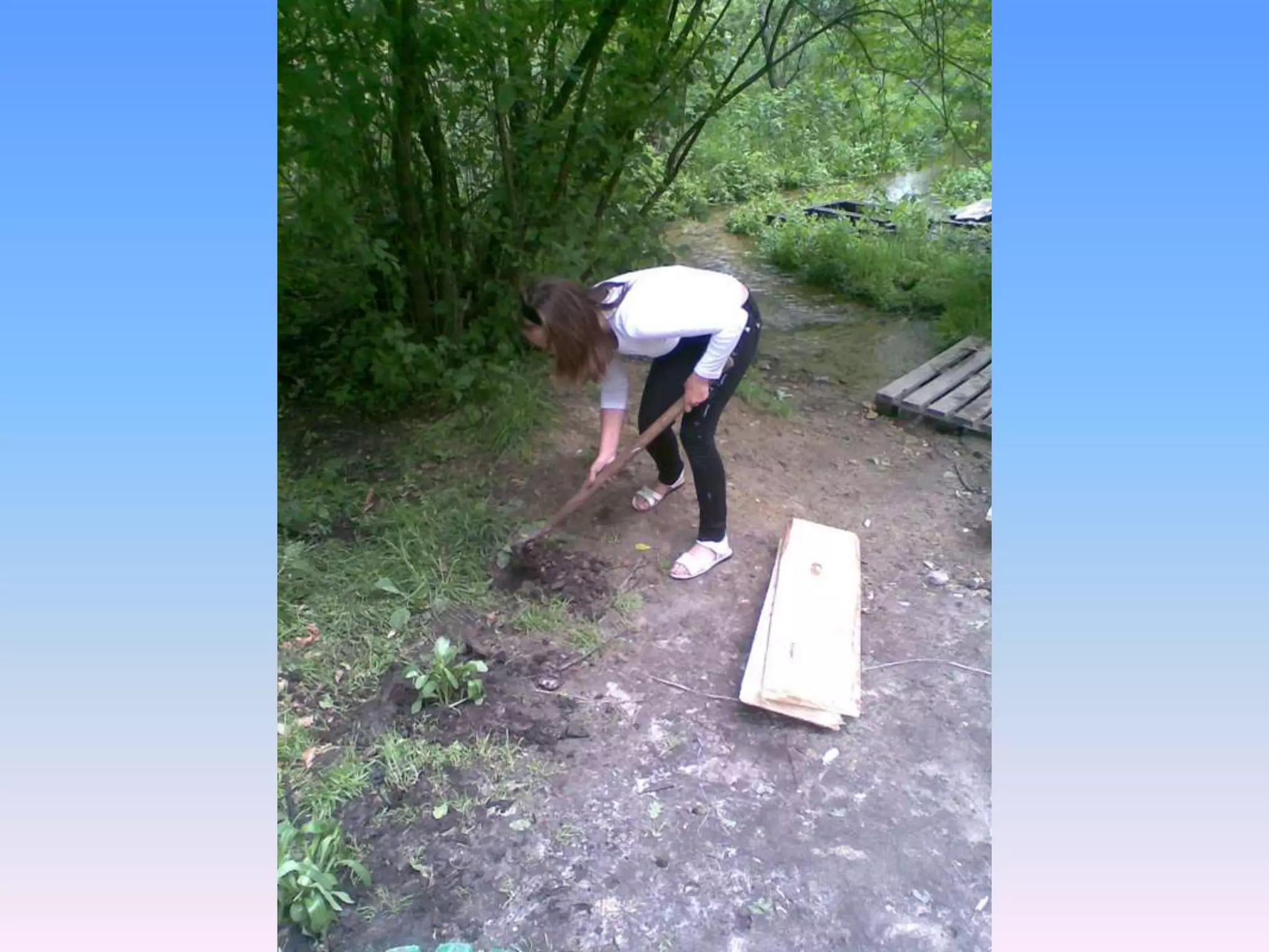 Екологічний проект "Джерело"