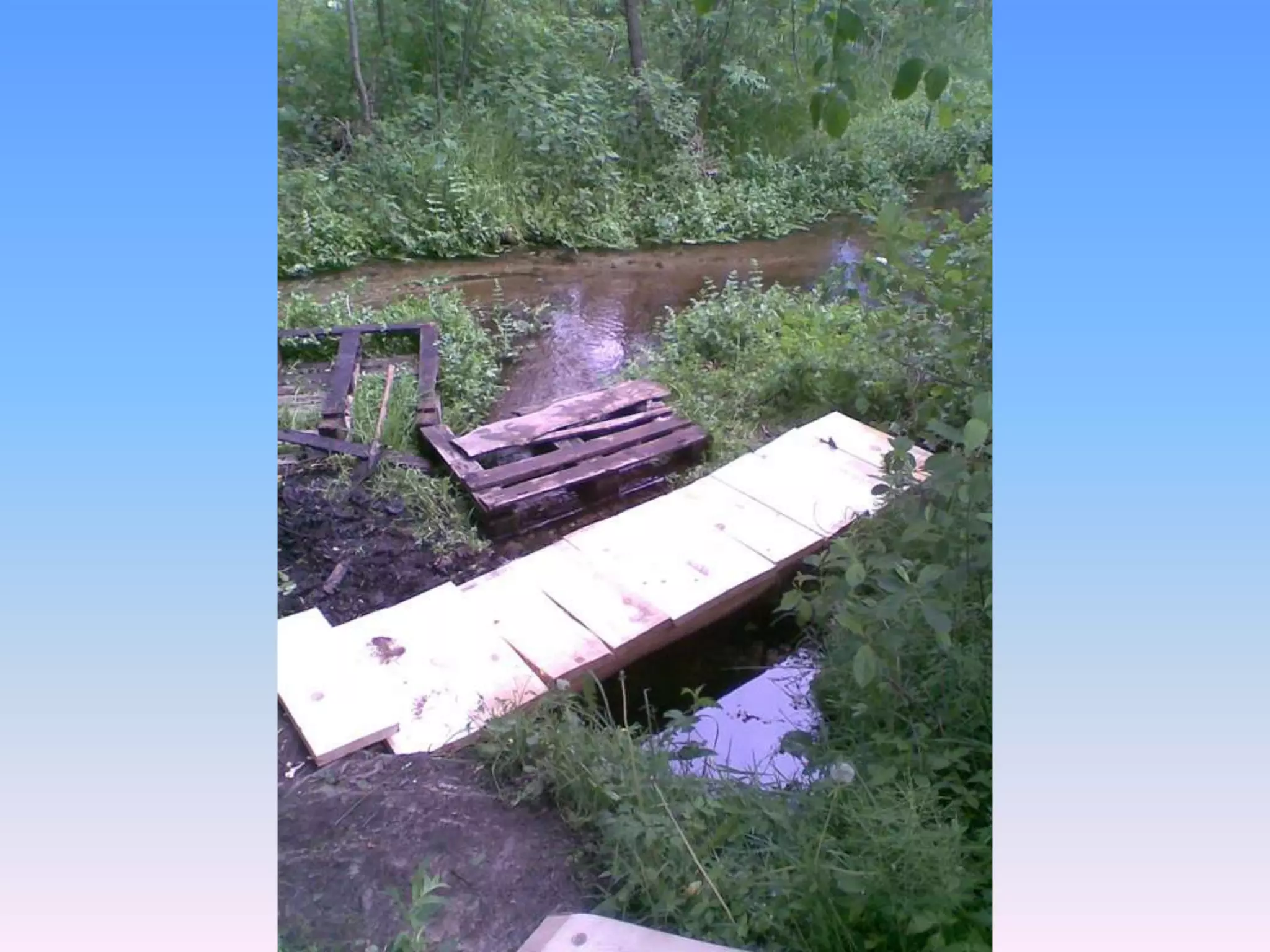 Екологічний проект "Джерело"