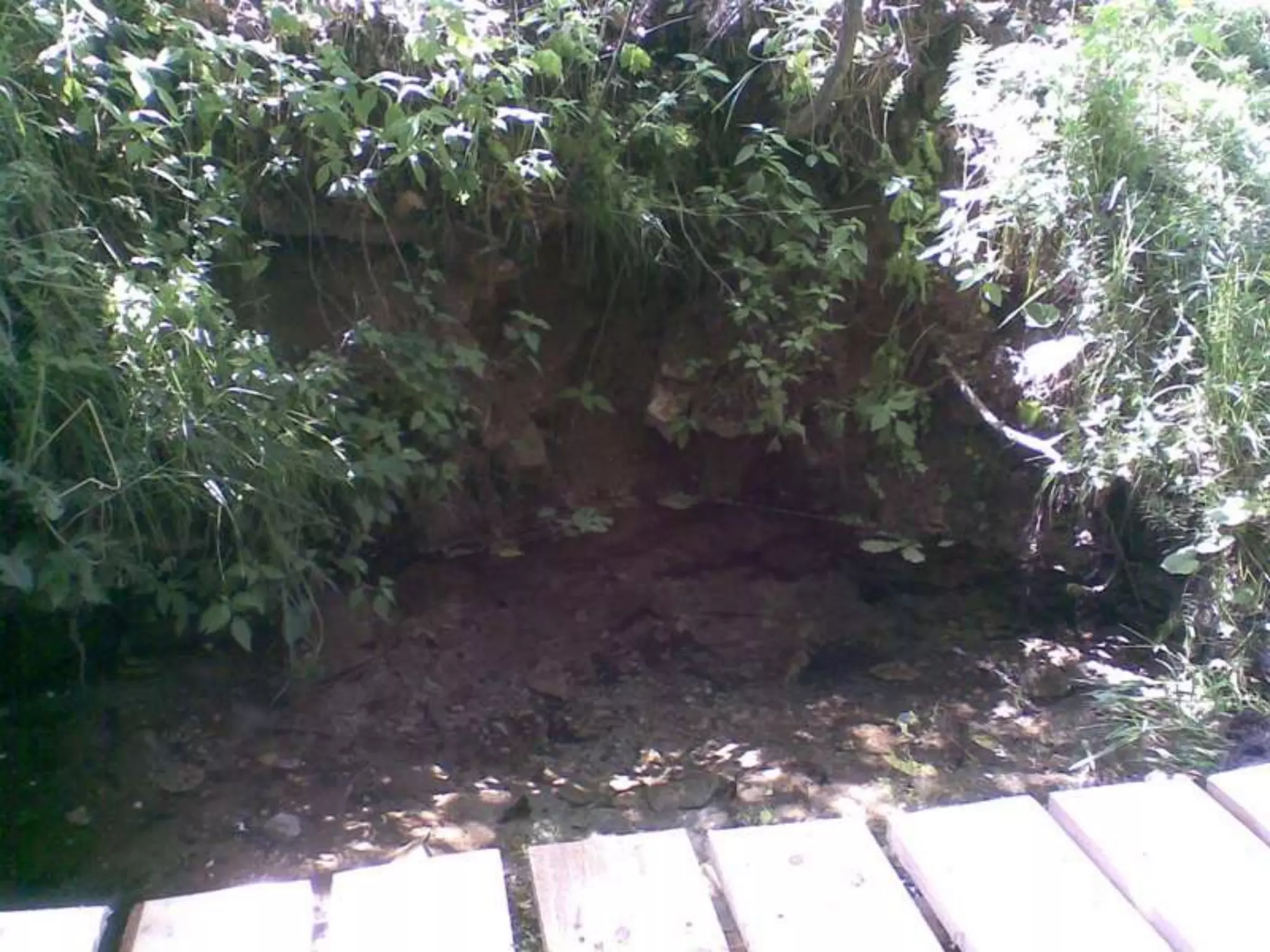 Екологічний проект "Джерело"