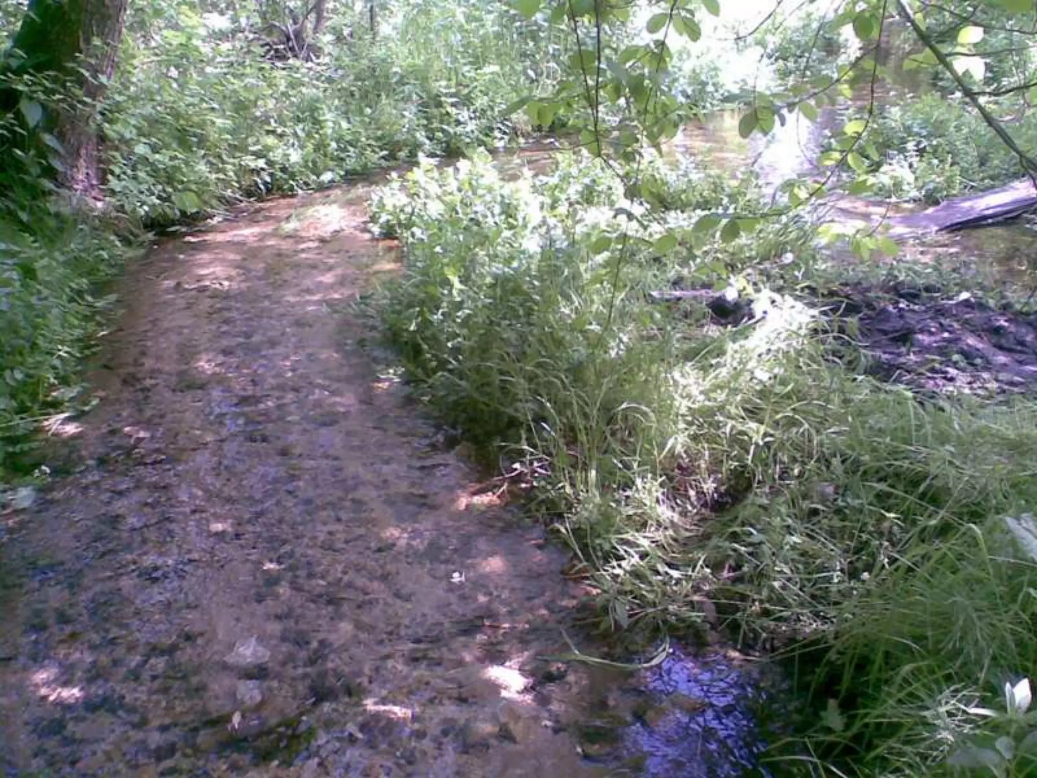 Екологічний проект "Джерело"