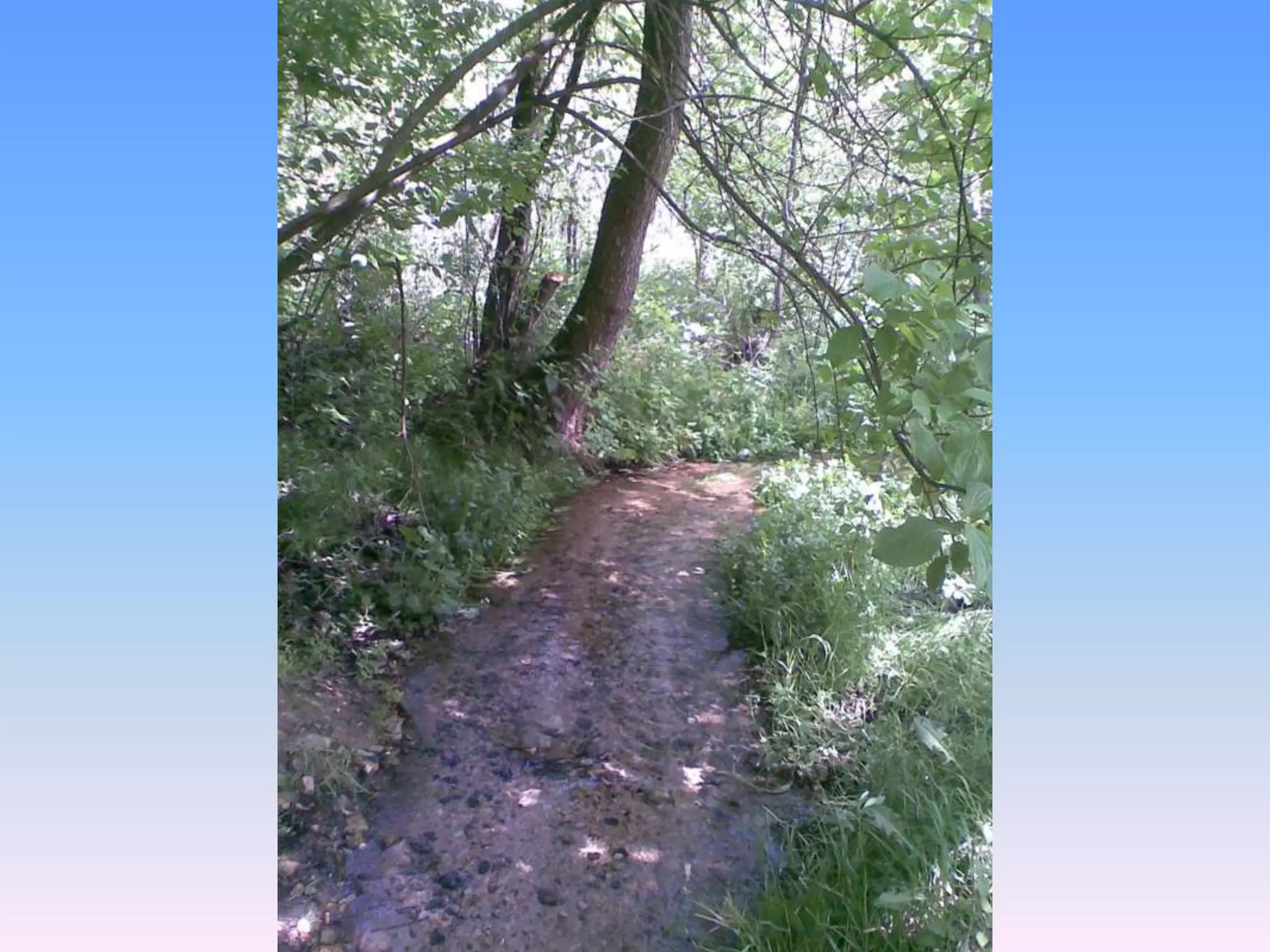 Екологічний проект "Джерело"