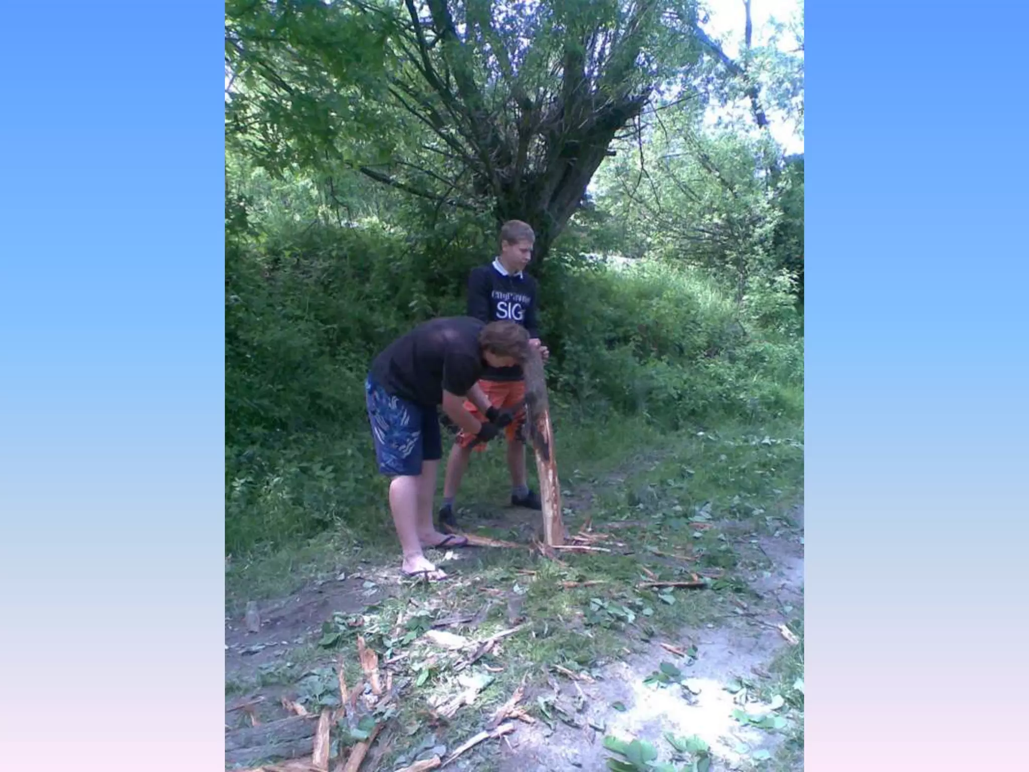 Екологічний проект "Джерело"