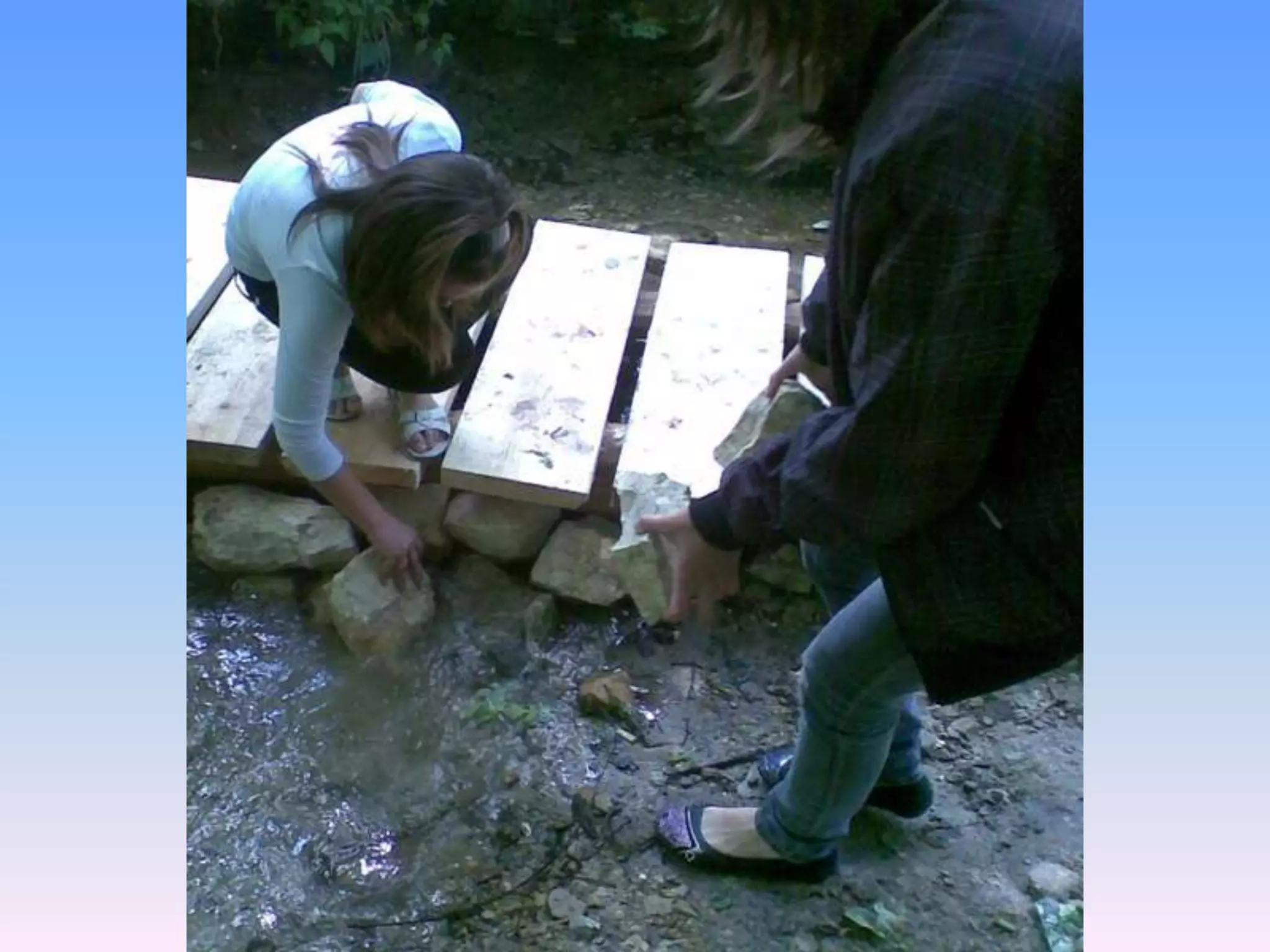 Екологічний проект "Джерело"