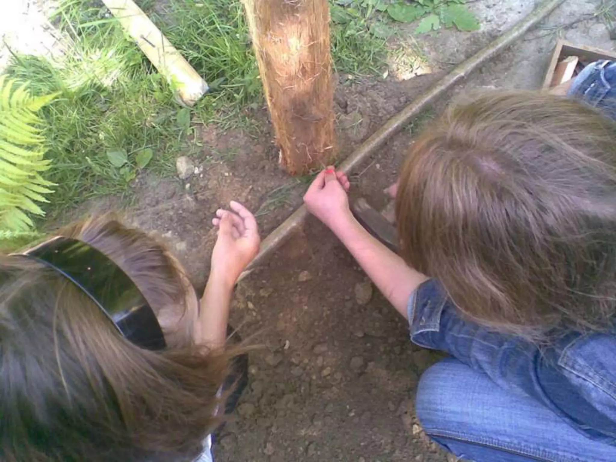 Екологічний проект "Джерело"