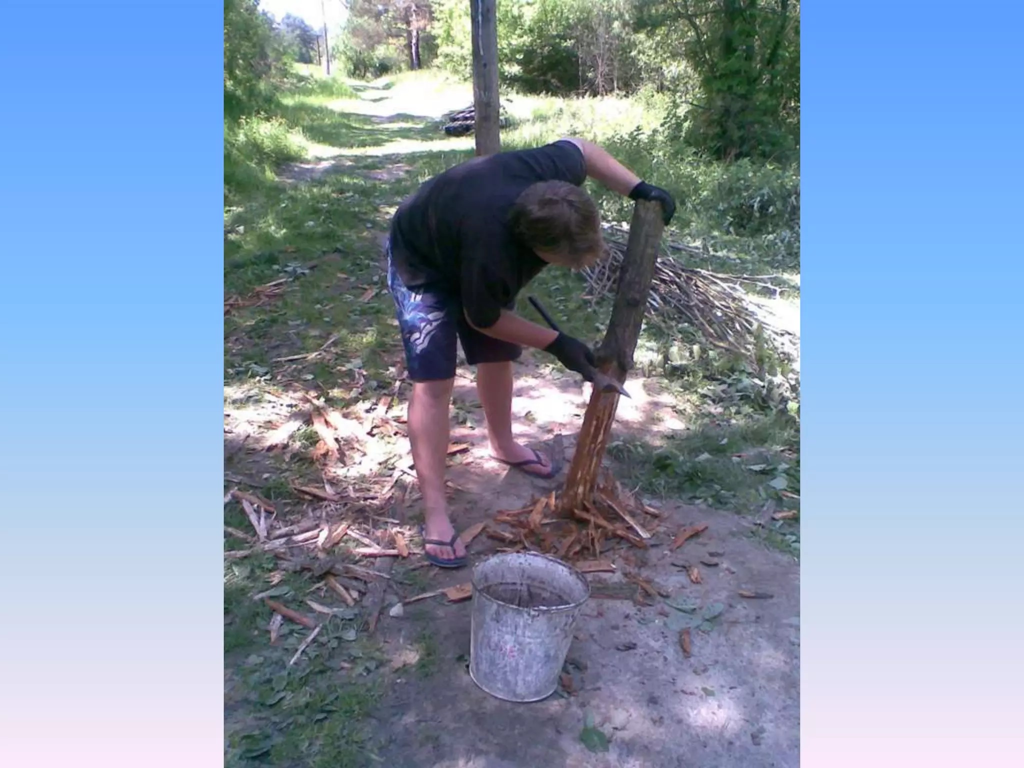 Екологічний проект "Джерело"