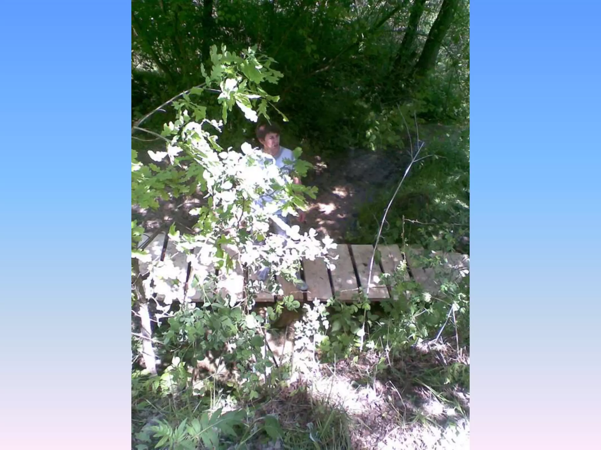 Екологічний проект "Джерело"