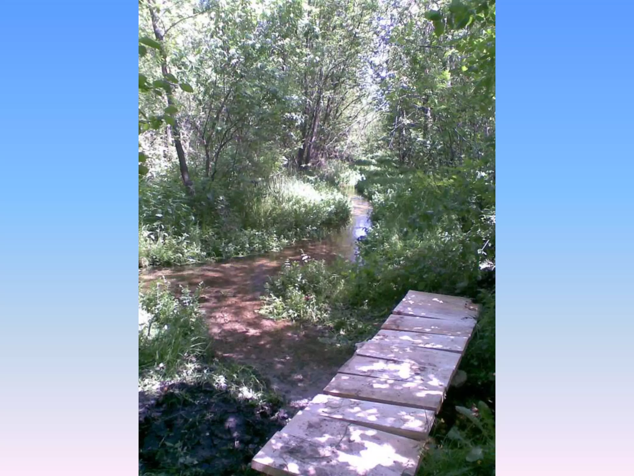 Екологічний проект "Джерело"