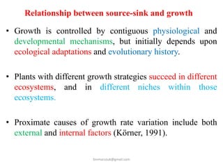 SOURCE-SINK relationship.pptx | Gardening | Home & Garden