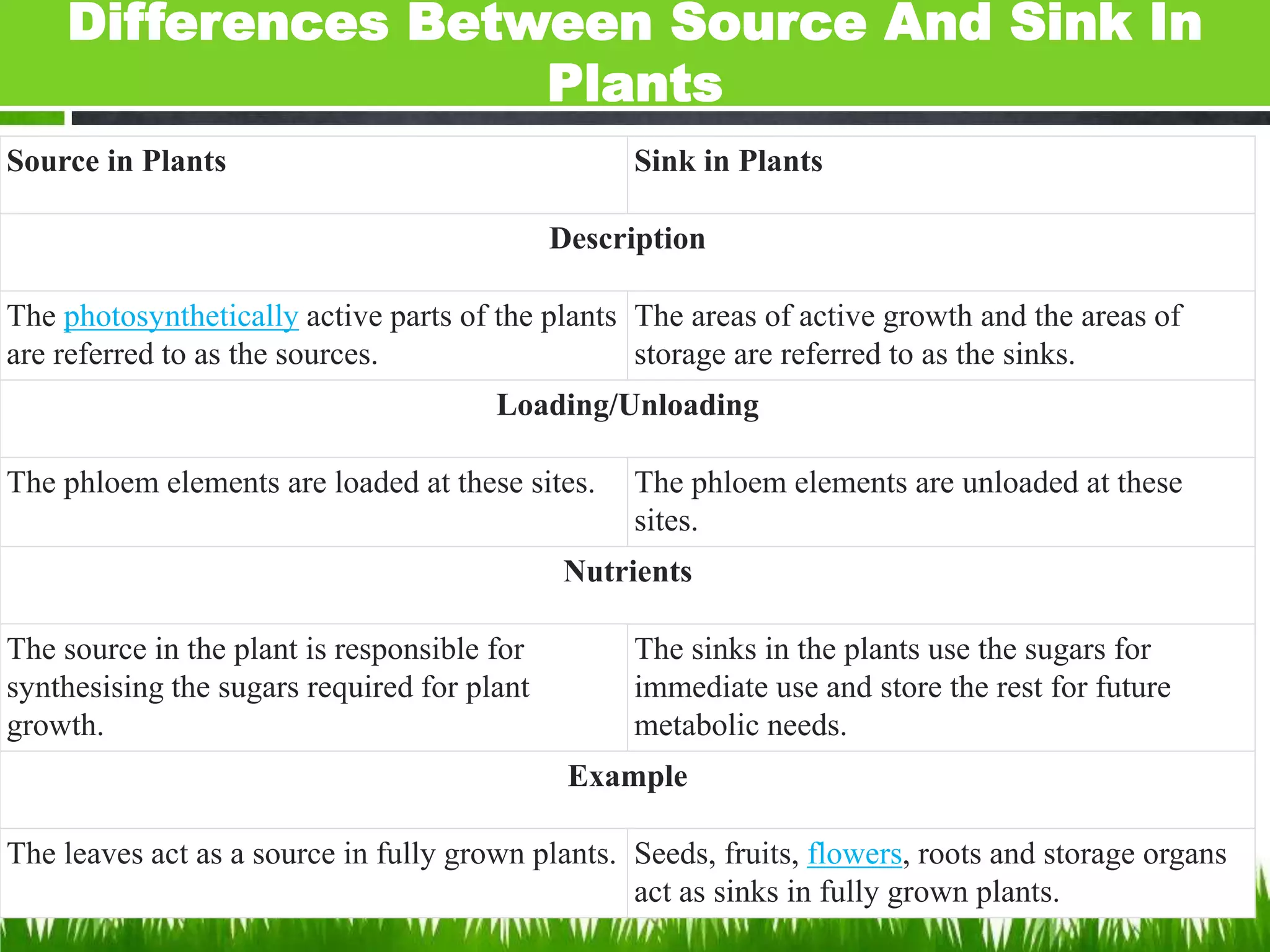 Source and sink relationship pptx.pptx | Gardening | Home & Garden