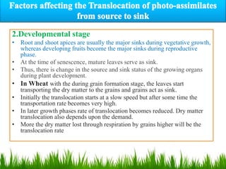 Source and sink relationship pptx.pptx | Gardening | Home & Garden