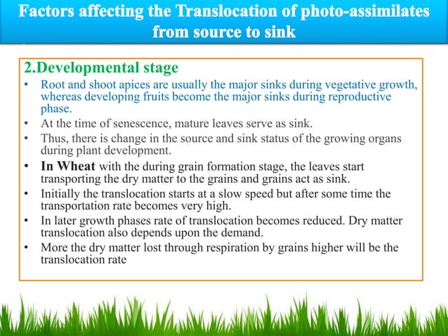 Source and sink relationship pptx.pptx | Gardening | Home & Garden