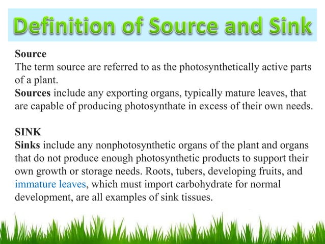 Source and sink relationship pptx.pptx | Gardening | Home & Garden