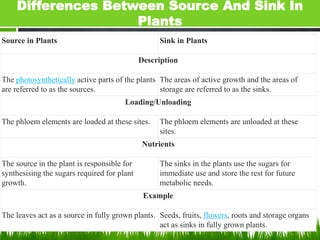 Source and sink relationship pptx.pptx