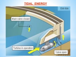 TIDAL ENERGY
 