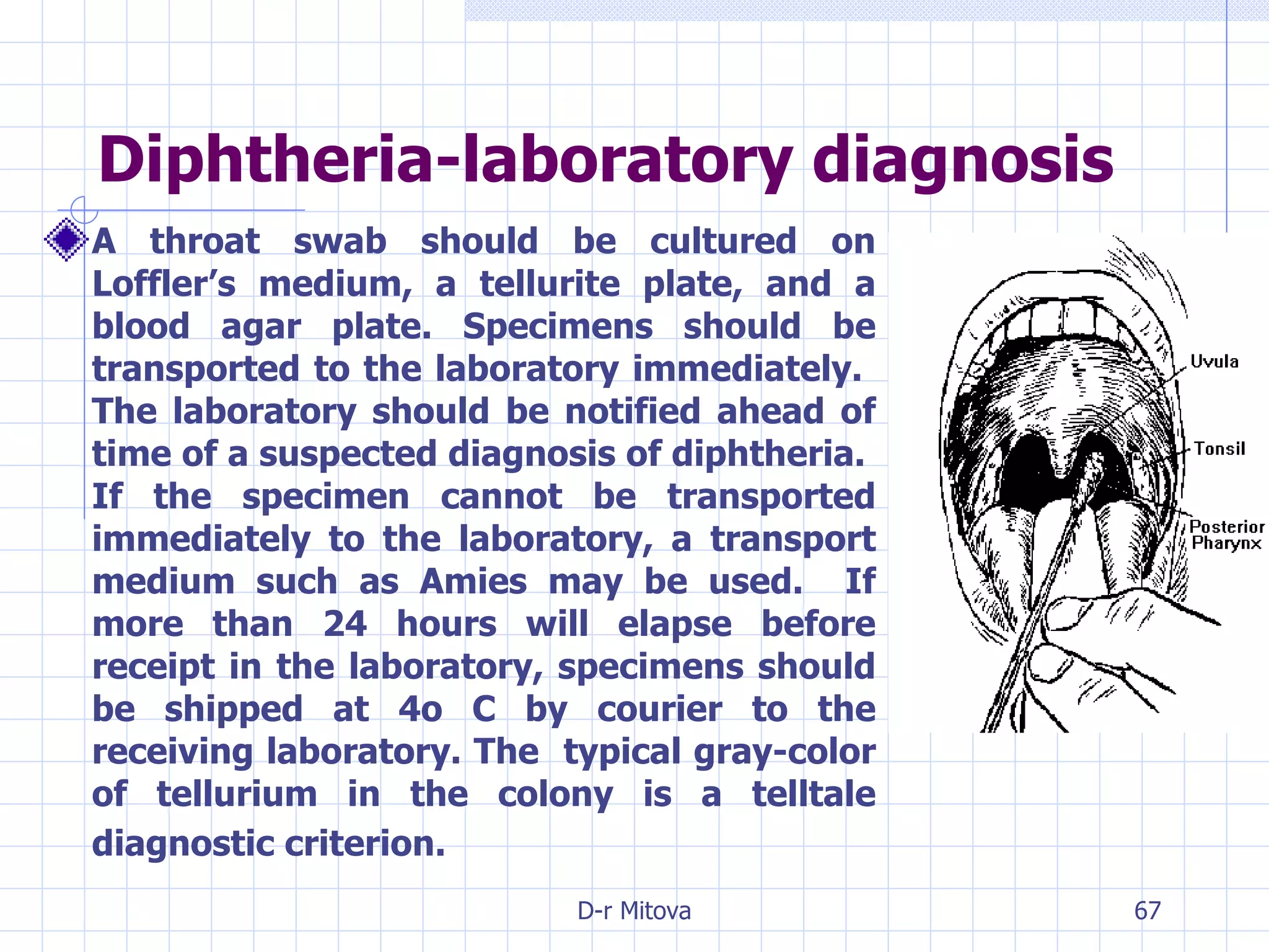 A throat swab should be cultured on Loffler’s medium, a tellurite plate, and a blood agar plate.  Specimens should be transported to the laboratory immediately.  The laboratory should be notified ahead of time of a suspected diagnosis of diphtheria.  If the specimen cannot be transported immediately to the laboratory, a transport medium such as Amies may be used.  If more than 24 hours will elapse before receipt in the laboratory, specimens should be shipped at 4o C by courier to the receiving laboratory.  The  typical gray-color of tellurium in the colony is a telltale diagnostic criterion.   Diphtheria-laboratory diagnosis 
