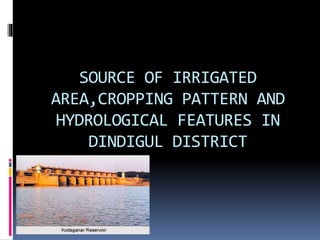 SOURCE OF IRRIGATED
AREA,CROPPING PATTERN AND
HYDROLOGICAL FEATURES IN
DINDIGUL DISTRICT
 