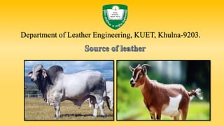 Department of Leather Engineering, KUET, Khulna-9203.
 