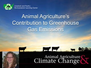 Animal Agriculture’s
Contribution to Greenhouse
Gas Emissions
 