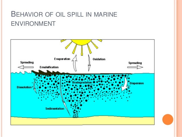 sources-and-effects-of-oil-pollution-in-marine-environment-10-638.jpg