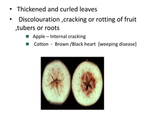 SOURCES ,FORMS ,MOBILITY , TRANSFORMATION ,FIXATION , LOSSES AND ...