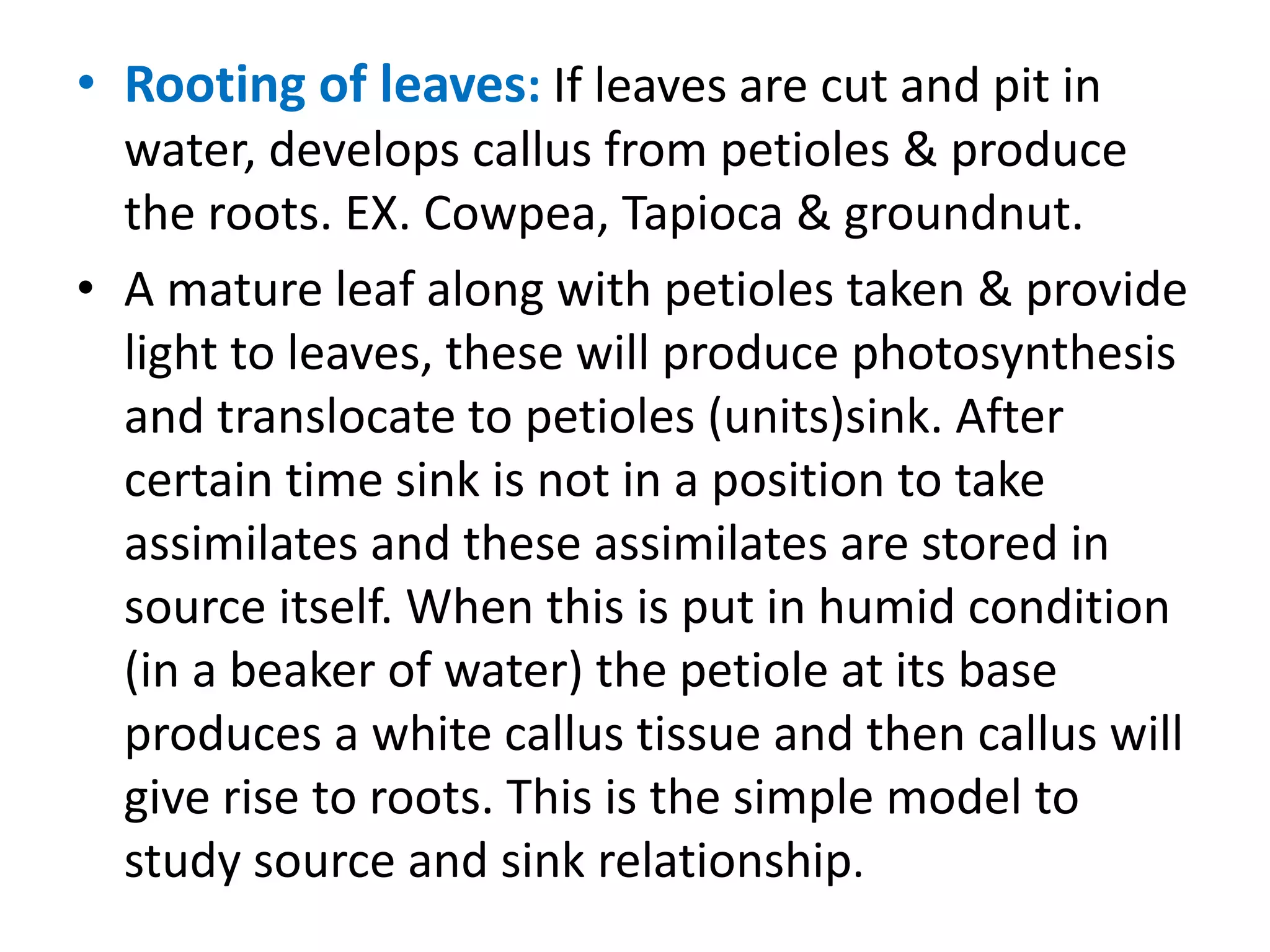 • Rooting of leaves: If leaves are cut and pit in
water, develops callus from petioles & produce
the roots. EX. Cowpea, Tapioca & groundnut.
• A mature leaf along with petioles taken & provide
light to leaves, these will produce photosynthesis
and translocate to petioles (units)sink. After
certain time sink is not in a position to take
assimilates and these assimilates are stored in
source itself. When this is put in humid condition
(in a beaker of water) the petiole at its base
produces a white callus tissue and then callus will
give rise to roots. This is the simple model to
study source and sink relationship.
 
