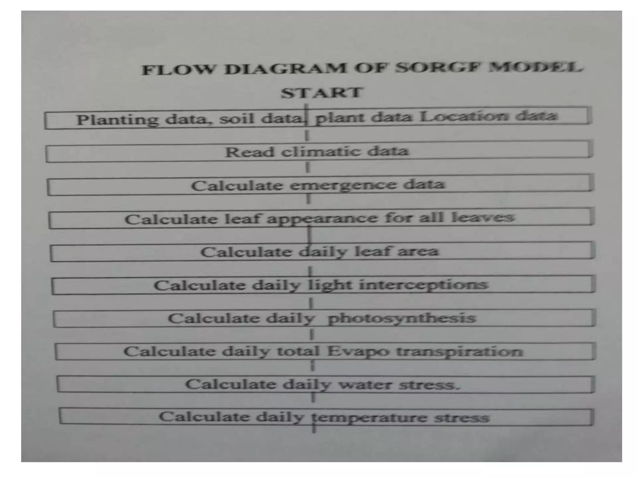 Source sink relationship and different growth models