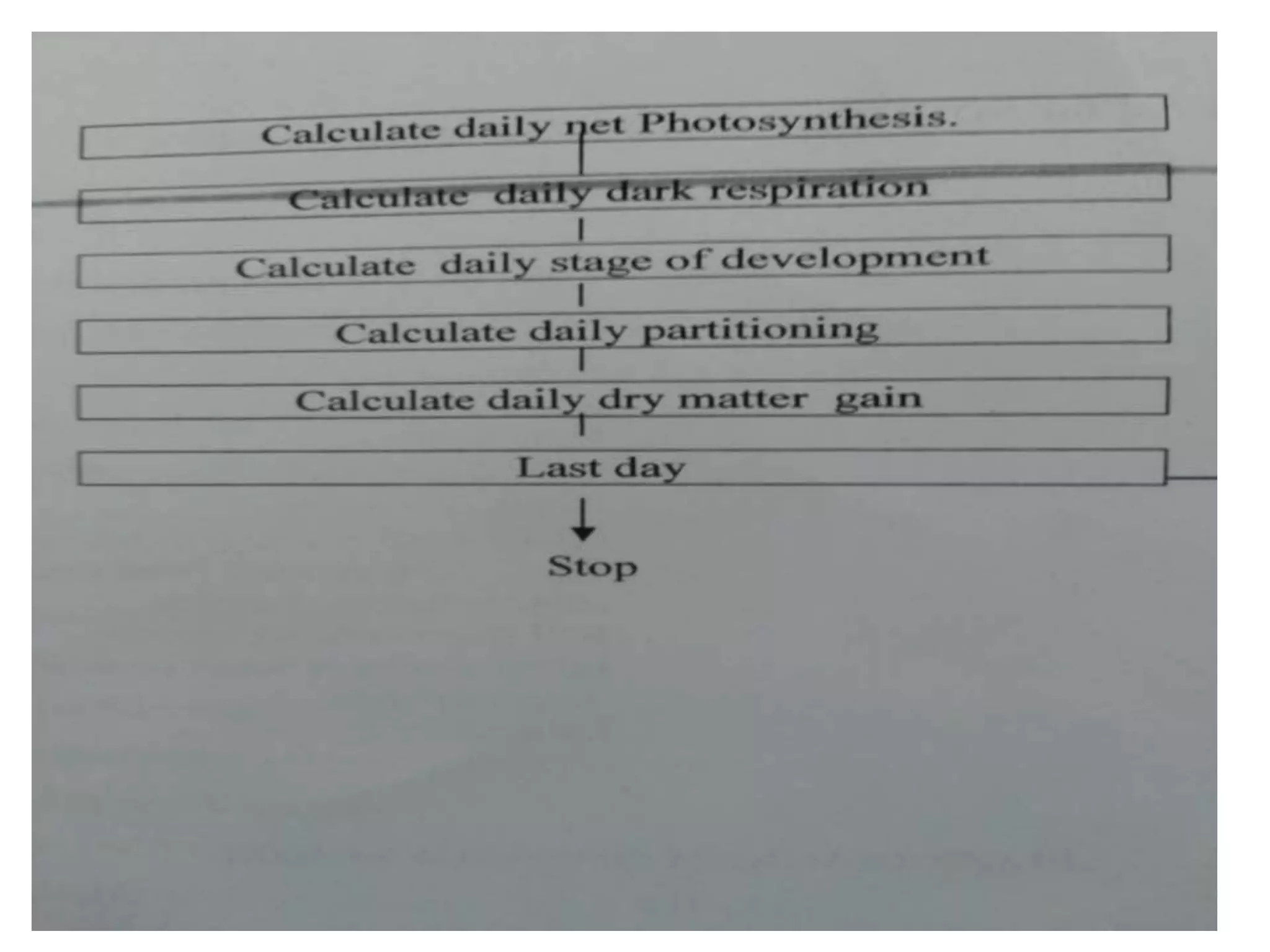 Source sink relationship and different growth models