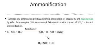 sources, N for crop improvement and increase metabolism.pptx