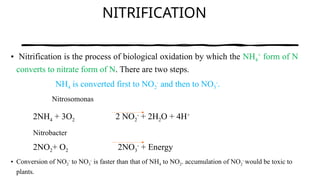 Nitrification O2 sources, N for crop improvement and increase metabolism.pptx