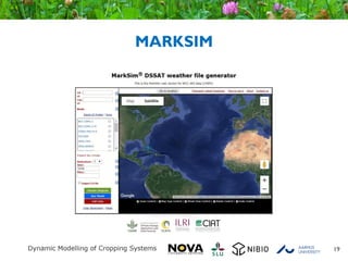 MARKSIM
19
 