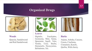 Organized Drugs
Woods
Quassia, Sandalwood
and Red Sandalwood.
Leaves
Digitalis, Eucalyptus,
Gymnema, Mint, Senna,
Spearmint, Squill, Tulsi,
Vasaka, Coca, Buchu,
Hamamelis, Hyoscyamus,
Belladonna, Tea.
Barks
Arjuna, Ashoka, Cascara,
Cassia, Cinchona,
Cinnamon, Kurchi,
Quillia, Wild cherry.
17
 
