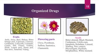Organized Drugs
Fruits
Amla, Anise, Bael, Bahera, Bitter
Orange peel, Capsicum, Caraway,
Cardamom, Colocynth, Coriander,
Cumin, Dill, Fennel, Gokhru,
Hirda, Lemon peel, Senna pod,
Star anise, Tamarind, Vidang.
Flowering parts
Clove, Pyrethrum,
Saffron, Santonica,
Chamomile.
Seeds
Bitter almond, Black Mustard,
Cardamom, Colchi-cum,
Ispaghula, Kaladana, Linseed,
Nutmeg, Nux vomica,
Physostigma, Psyllium,
Strophanthus, White mustard.
18
 
